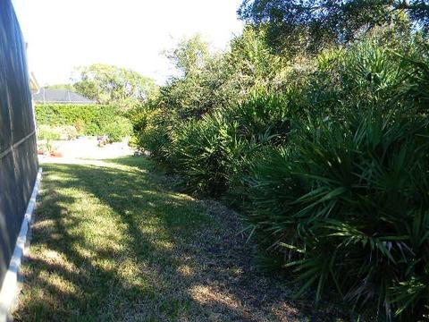 344 San Nicolas Way, Saint Augustine, FL 32080 photo 8