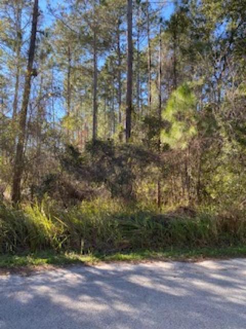 4915 Moultrie Reserve Ct, Saint Augustine, FL 32086 photo 1