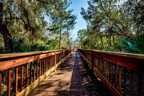234 Modesto Dr, Saint Augustine, FL 32086 photo 18