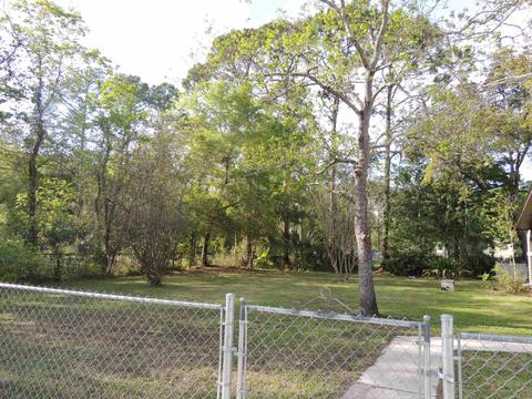 3320 Green Acres Rd, Saint Augustine, FL 32084 photo 23