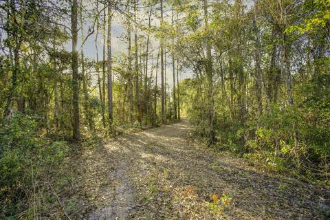 1931 N County Road 13a, Saint Augustine, FL 32092 photo 3