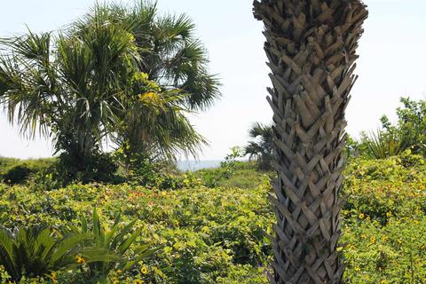 4 Ocean Trace Road #120, Saint Augustine, FL 32080 photo 3