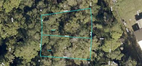 6462 Meadow Ln, Saint Augustine, FL 32095 photo 3