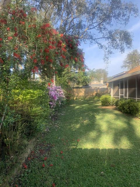 206 Tanager Rd, Saint Augustine, FL 32086 photo 16
