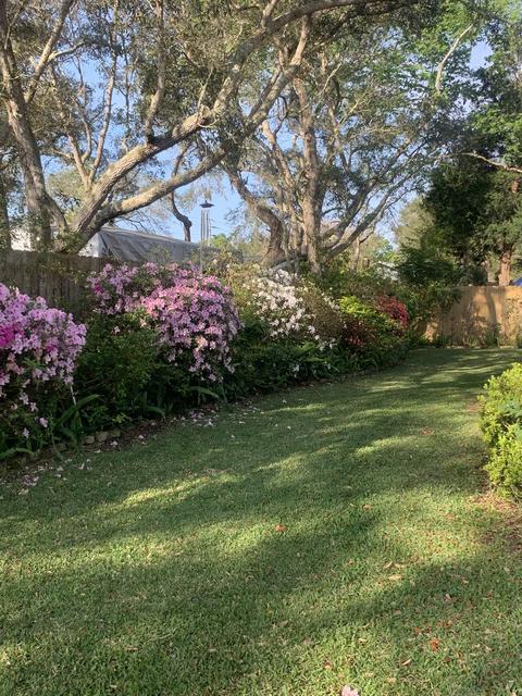 206 Tanager Rd, Saint Augustine, FL 32086 photo 34