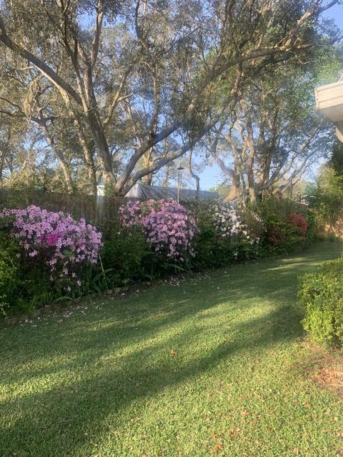 206 Tanager Rd, Saint Augustine, FL 32086 photo 33