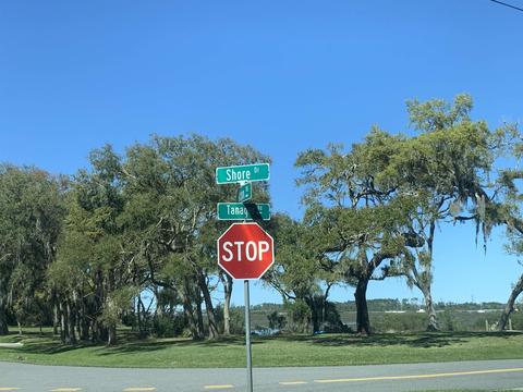 206 Tanager Rd, Saint Augustine, FL 32086 photo 43