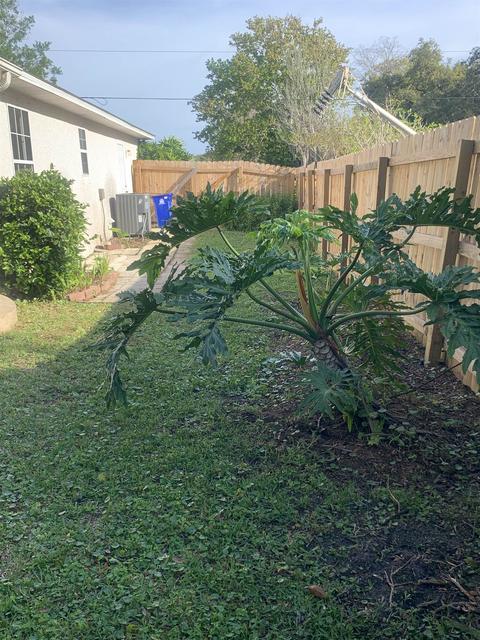 206 Tanager Rd, Saint Augustine, FL 32086 photo 37
