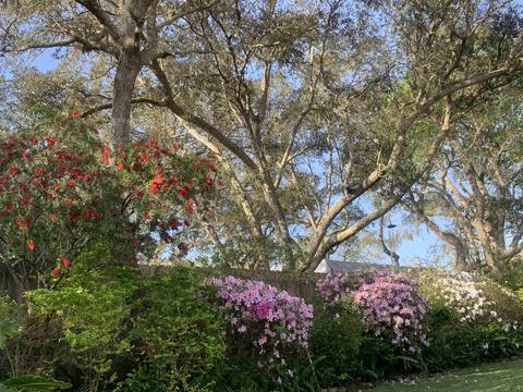 206 Tanager Rd, Saint Augustine, FL 32086 photo 35