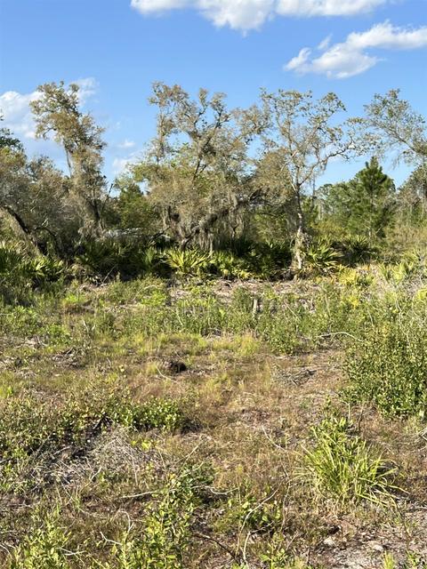 2030 Forbes Rd, Saint Augustine, FL 32092 photo 7
