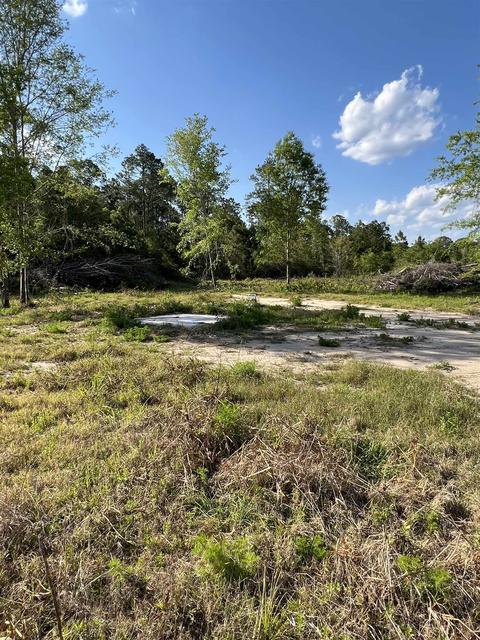 2030 Forbes Rd, Saint Augustine, FL 32092 photo 4