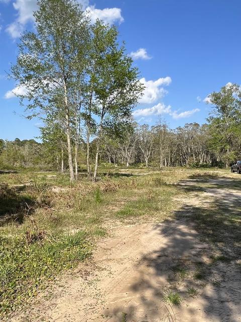 2030 Forbes Rd, Saint Augustine, FL 32092 photo 2
