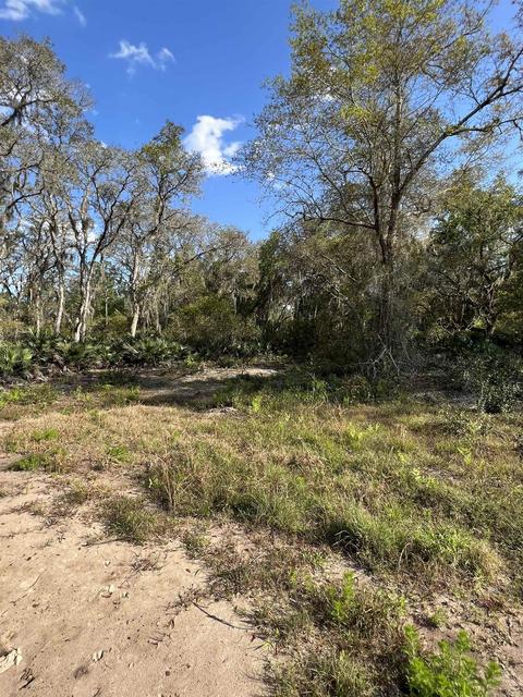 2030 Forbes Rd, Saint Augustine, FL 32092 photo 5