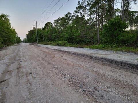 5697 Pine Dr, Saint Augustine, FL 32095 photo 4