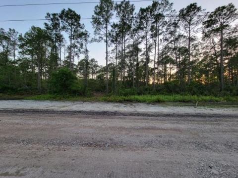 5697 Pine Dr, Saint Augustine, FL 32095 photo 1