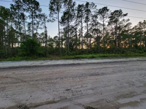 5697 Pine Dr, Saint Augustine, FL 32095 photo 2
