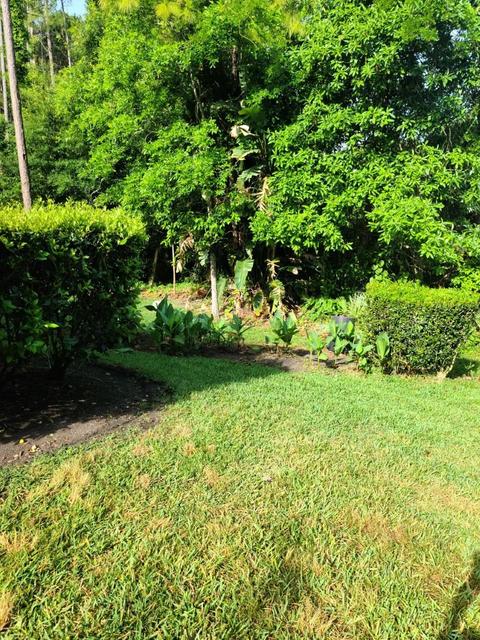 577 Boxwood Pl, Saint Augustine, FL 32086 photo 4