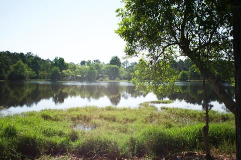 134 Prairie Lakes Dr S, Saint Augustine, FL 32084 photo 23