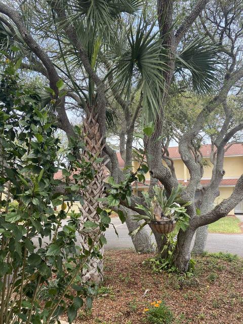 3960 S A1a #521, Saint Augustine, FL 32080 photo 41