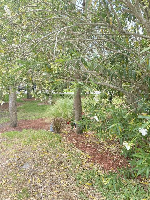 3960 S A1a #521, Saint Augustine, FL 32080 photo 34