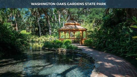 38 Pinnacle Pl, Bunnell, FL 32110 photo 32