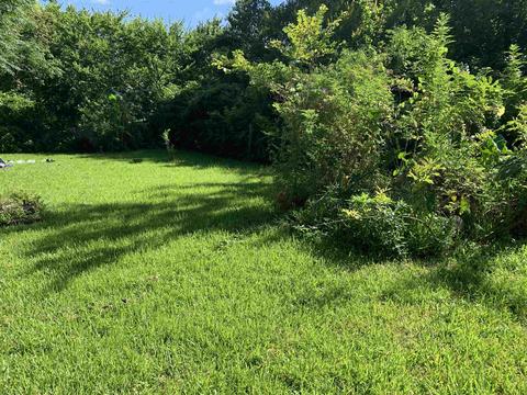 70 Anderson St, Saint Augustine, FL 32084 photo 3