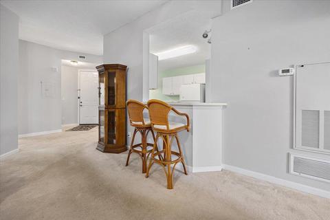 806 Pine Valley Pl, Saint Augustine, FL 32086 photo 7