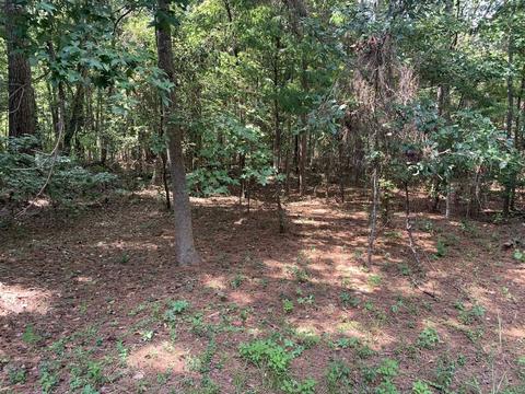 4235 Rues Landing Rd, Saint Augustine, FL 32092 photo 2