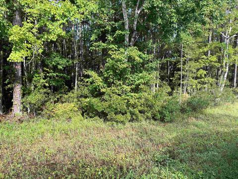 6381 Us Highway 1 S, Saint Augustine, FL 32086 photo 1