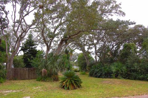 243 Basque Rd, Saint Augustine, FL 32080 photo 10