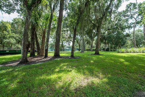 43 Alcira Ct, Saint Augustine, FL 32086 photo 30