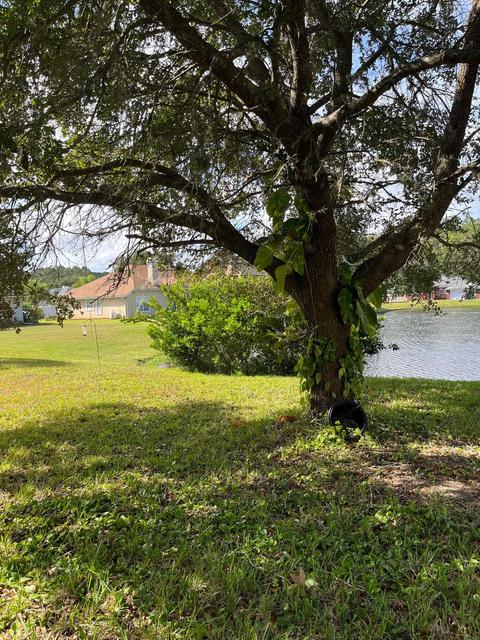 153 Whisper Ridge Dr, Saint Augustine, FL 32092 photo 5