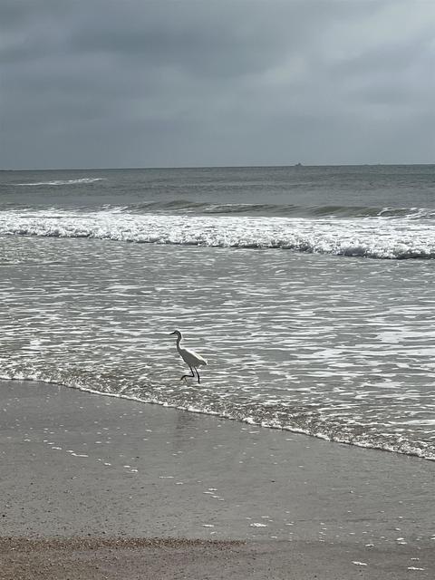 649 Honeycomb Trl, Saint Augustine, FL 32095 photo 1