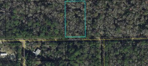 3628 Cranberry Ave, Bunnell, FL 32110 photo 1