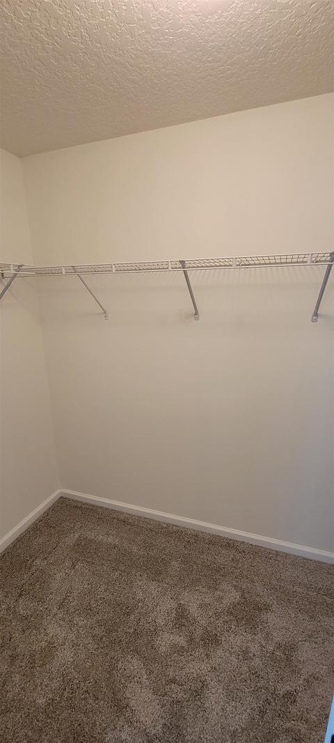 300 Hidden Tree Dr N, Saint Augustine, FL 32086 photo 12
