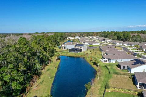31 Nogalas Ct, Saint Augustine, FL 32086 photo 42