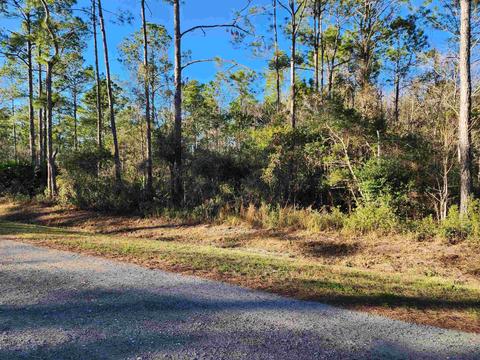 4420 Regina St, Hastings, FL 32145 photo 1