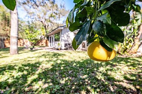 501 E St, Saint Augustine, FL 32080 photo 39