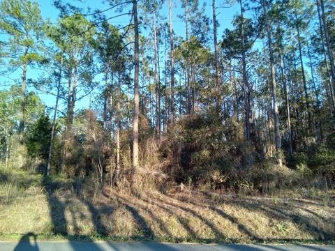 9840 Ebert Ave, Hastings, FL 32145 photo 2