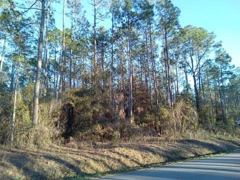9840 Ebert Ave, Hastings, FL 32145 photo 5