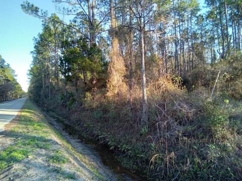 9840 Ebert Ave, Hastings, FL 32145 photo 4
