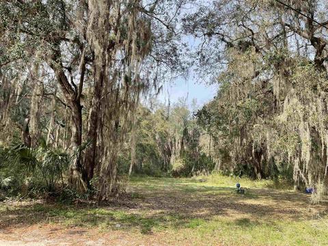 6870 Tammy Ln, Saint Augustine, FL 32095 photo 3
