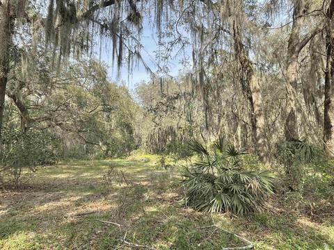 6870 Tammy Ln, Saint Augustine, FL 32095 photo 4
