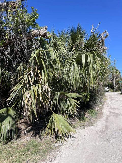 6947 Middleton Ave, Saint Augustine, FL 32080 photo 4