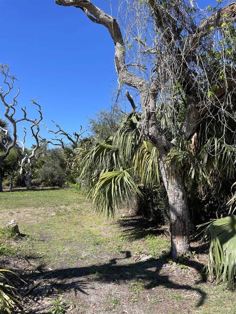 6947 Middleton Ave, Saint Augustine, FL 32080 photo 3