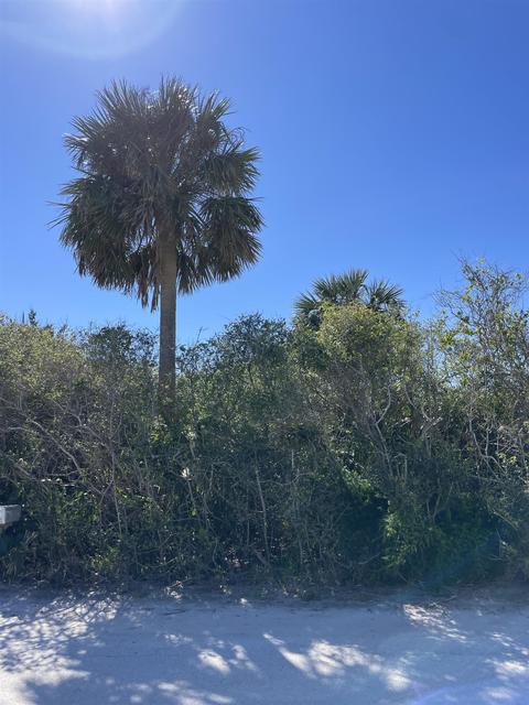 6947 Middleton Ave, Saint Augustine, FL 32080 photo 1