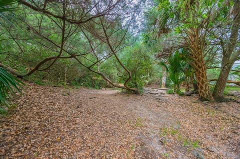 1725 Leon St, Saint Augustine, FL 32080 photo 33