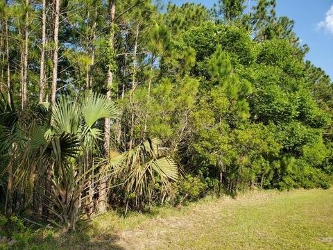 4966 Moultrie Reserve Ct, Saint Augustine, FL 32086 photo 2