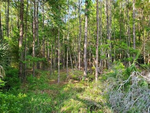 4966 Moultrie Reserve Ct, Saint Augustine, FL 32086 photo 1