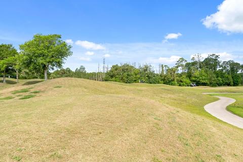 795 Blackmoor Gate Ln, Saint Augustine, FL 32084 photo 7